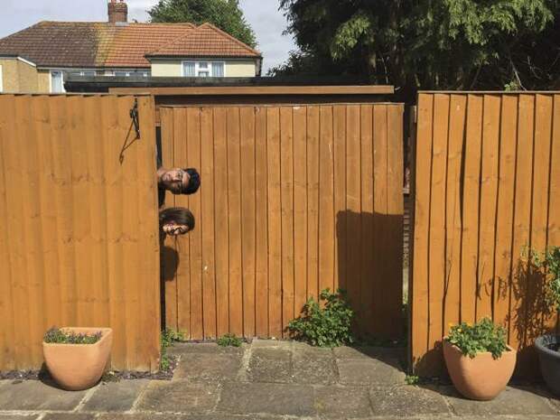 Прикольные картинки (90 фото) Прикольные картинки (90 фото)