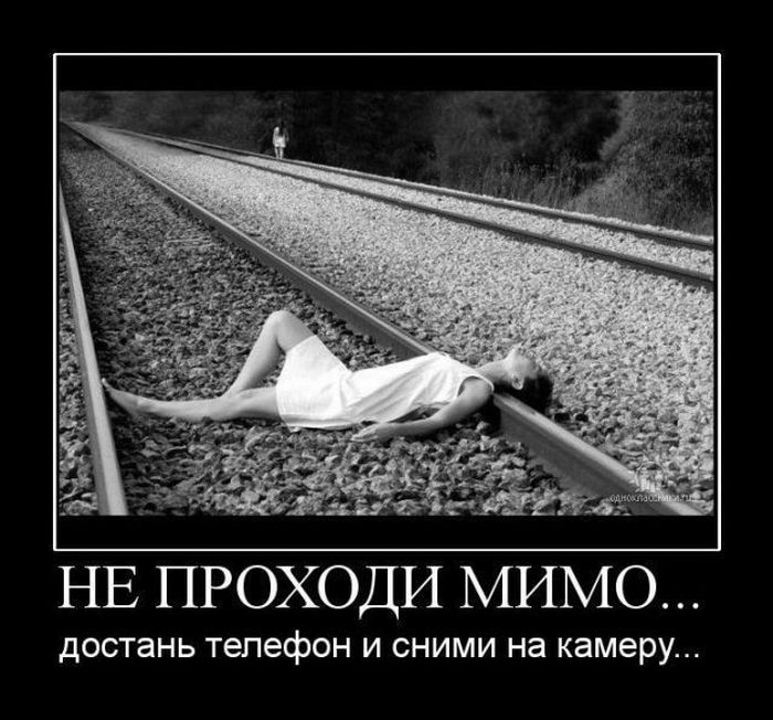 Демотиваторы (50 фото)