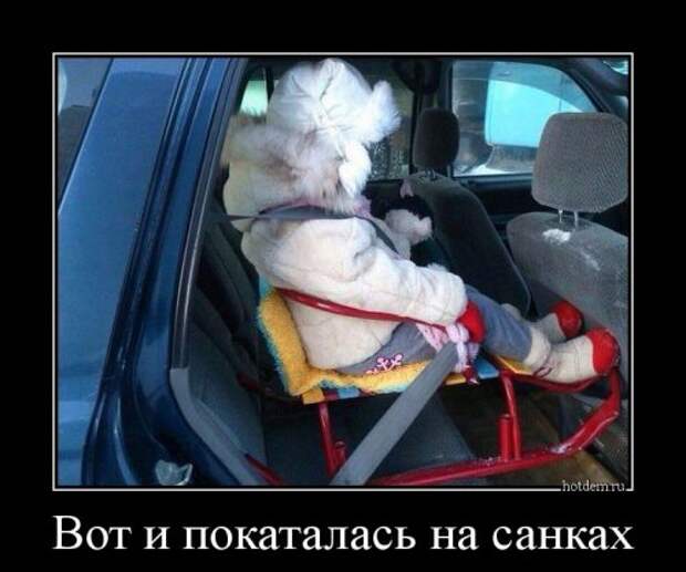Новые демотиваторы-приколы (19 шт)