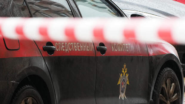 Пропавшего в Ленобласти подростка нашли живым