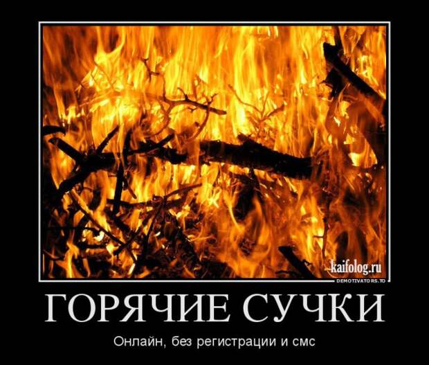Смешные демы - 264 (50 картинок)