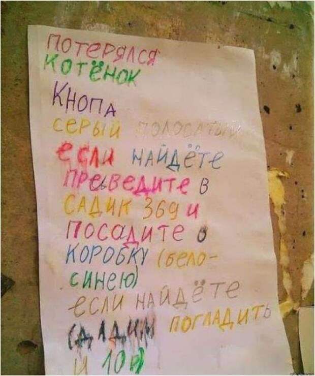 Прикольные объявления и надписи