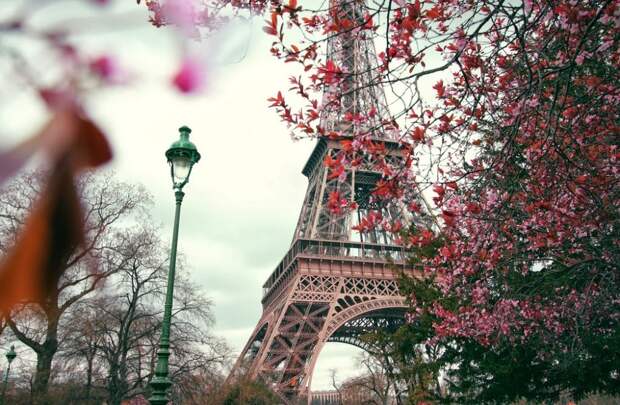 France08 Хочу во Францию