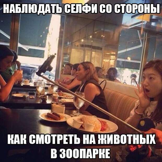 Смешные картинки с надписями прикол, юмор