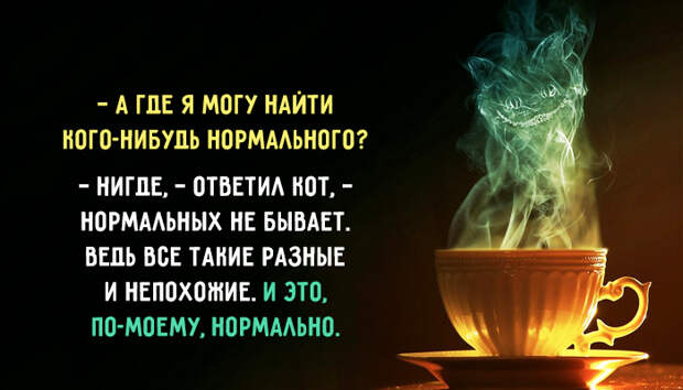 Как тебя понимать? — Понимать меня необязательно. Обязательно любить и кормить вовремя