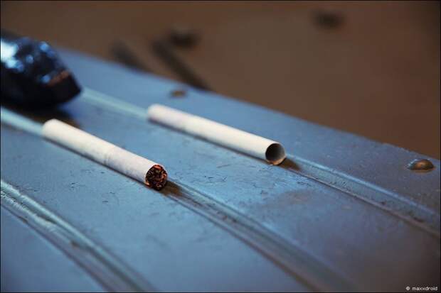 Выставка «Мемориал-2011» (38 фото)