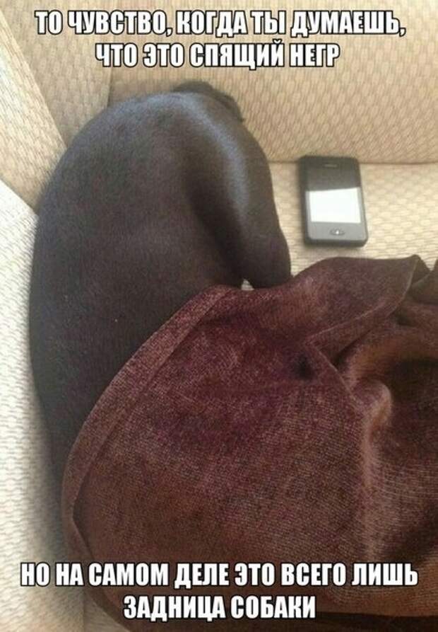 Позитив, юмор, смешные фотографии 