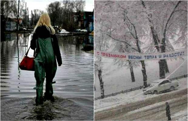 1. 1. весна, весна близко, подборка фото, смешные фотографии