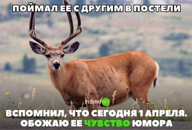 А как вы отметили 1 апреля? А как вы отметили 1 апреля?