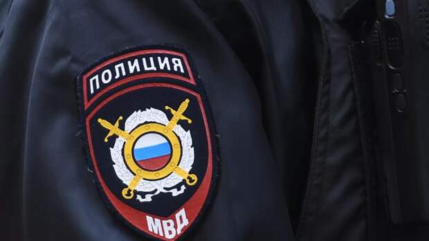 В Ярославле шесть человек оштрафовали за пропаганду нацизма на концерте