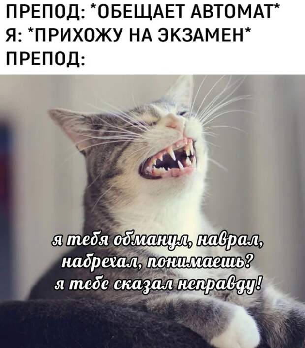 Смешные картинки вечер 18 марта 2021 года