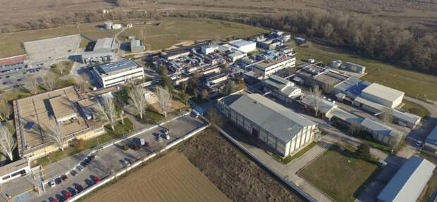 Pfizer Spain