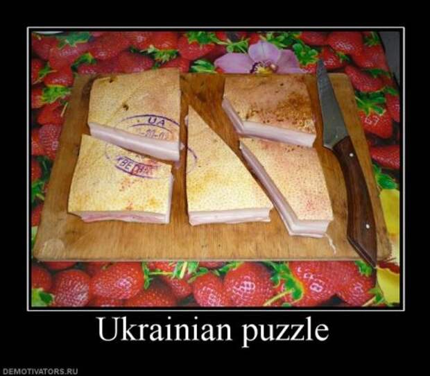 Не просто демотиваторы, а только лучшие каждый день, для вас!