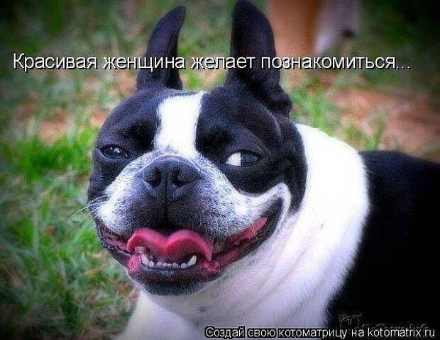 image (600x465, 225Kb)