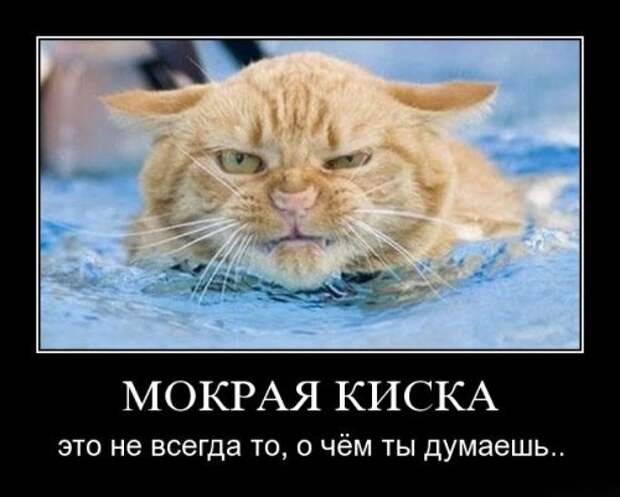 Демотиваторы-13 (50 фото)