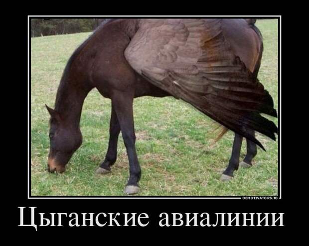 Подборка демотиваторов демотиватор, юмор