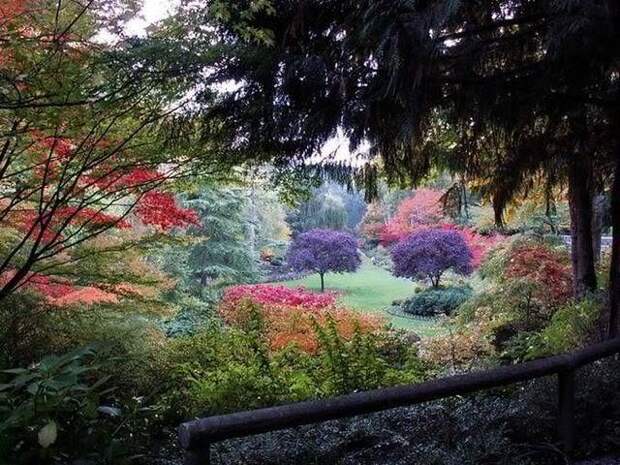 Место чарующее своей красотой и живой природой - The Butchart Gardens. 
