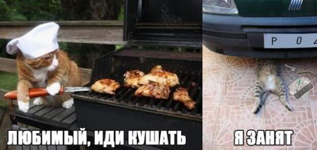Подборка автоприколов - 26