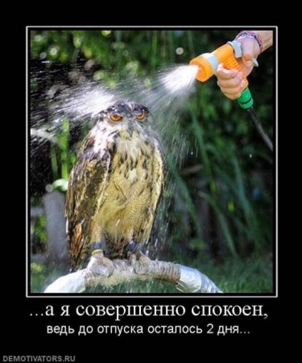 Демотиваторы без мата.