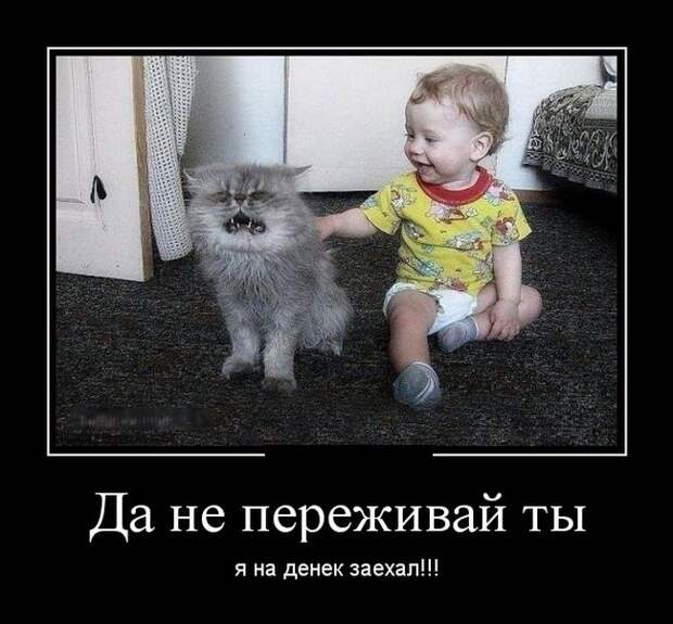 Демотиваторы