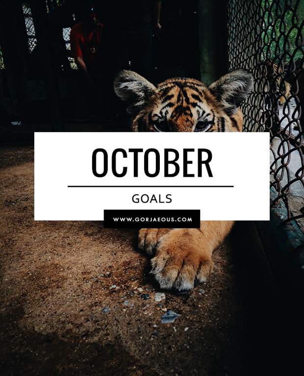 October Goals | SCATTERBRAIN