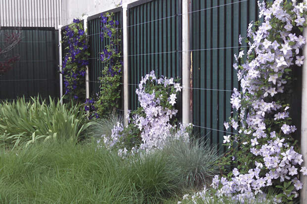 Профнастил, несмотря на то, что сегодня имеется много различных материалов для изготовления заборов, по-прежнему остается самым востребованным.-2