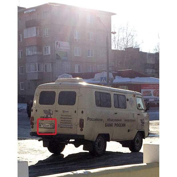 Воришки, которые уже давно в ссоре со своей совестью  вор, животные, прикол, юмор