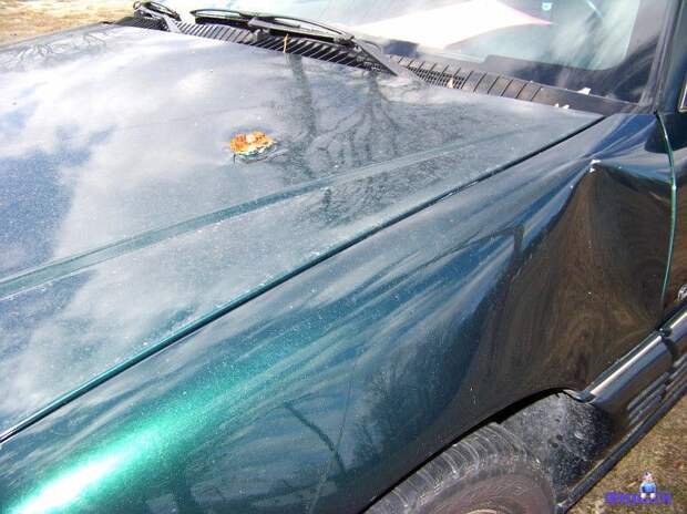 Фотоподборка автоприколов. Часть 27 авто, автоприколы, приколы