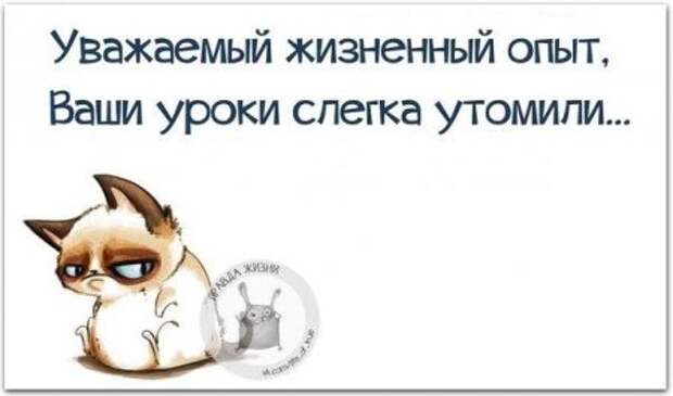 Картинки с юмором