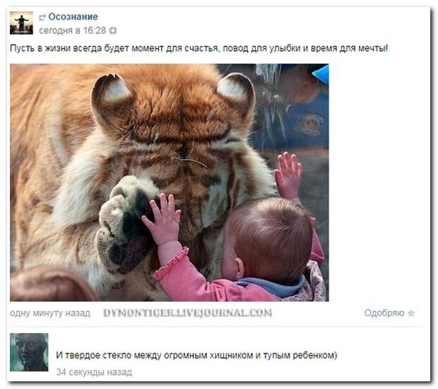 Смешные комментарии из социальных сетей 18.09.14 комментарии, прикол, соцсети, юмор