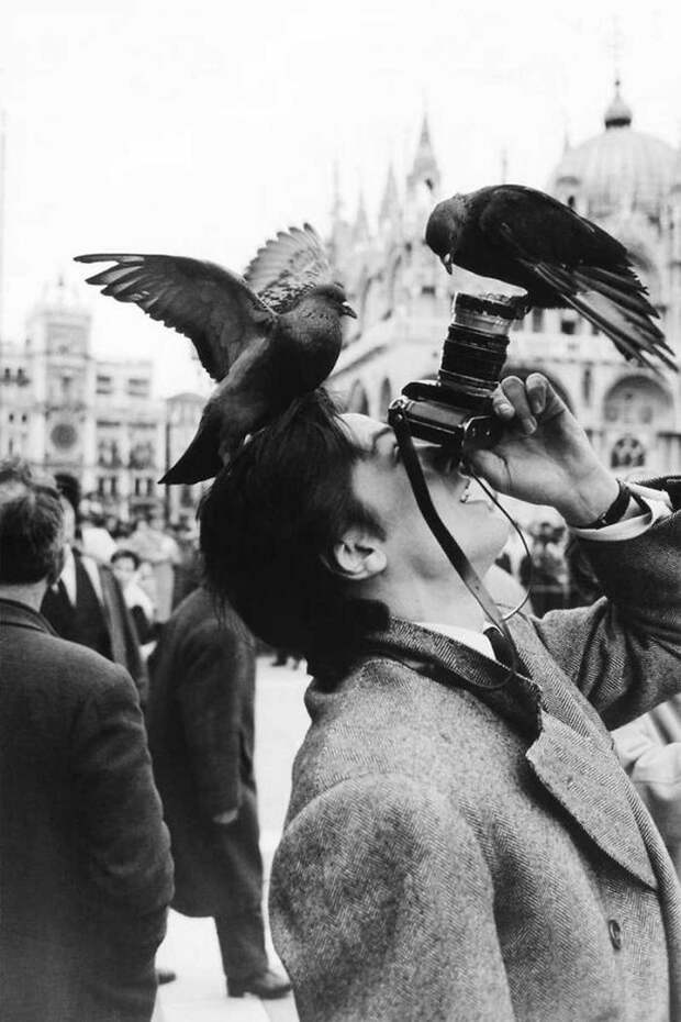 55 отчаянных фотографов, готовых на все ради удачного кадра отчаянный, снимок, фотограф