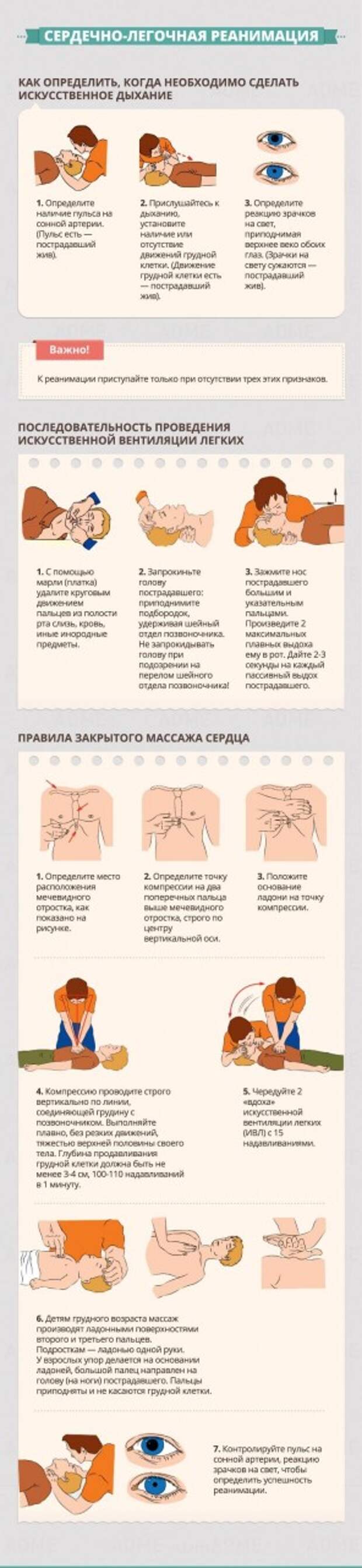 Гид по оказанию первой помощи первая помощь, полезно