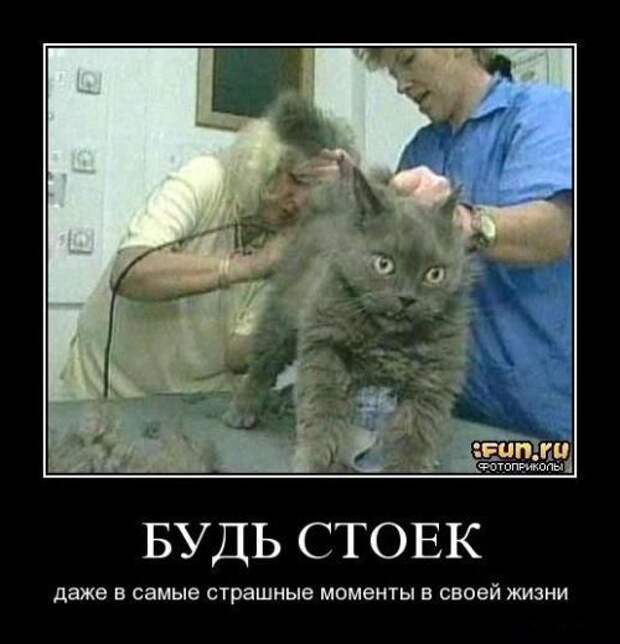 Сборник моих демотиваторов демотиватор, сборник