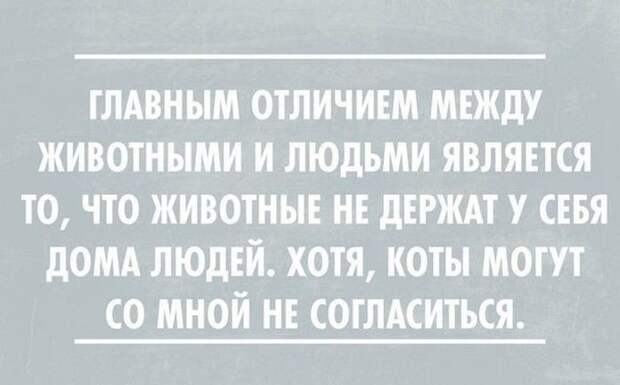 26 открыток от мастеров сарказма открытки, сарказм, юмор