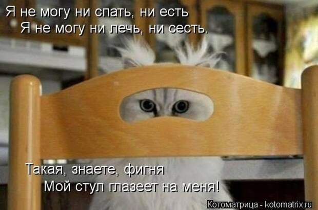 Прикольные и добрые котоматрицы на любой вкус и цвет(32 фото)