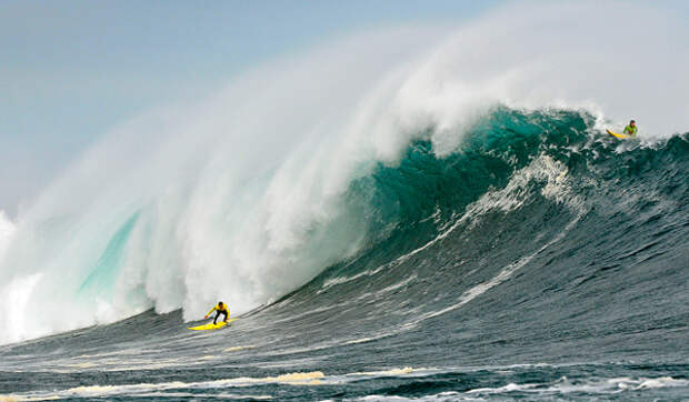 http://images.nationalgeographic.com/wpf/media-live/photos/000/392/overrides/punta-de-lobos-chile_39200_600x450.jpg