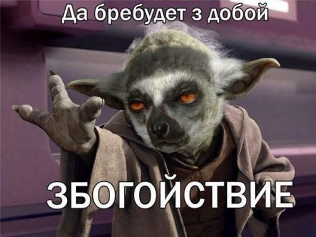Новые анекдоты (15 шт)