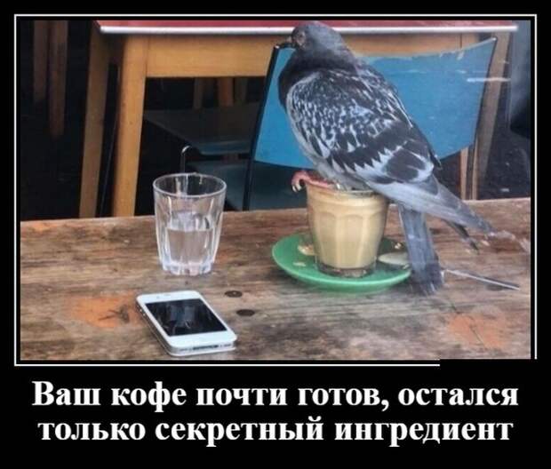 Демотиваторы