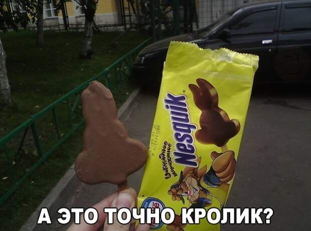 Смешные картинки с надписями прикол, юмор