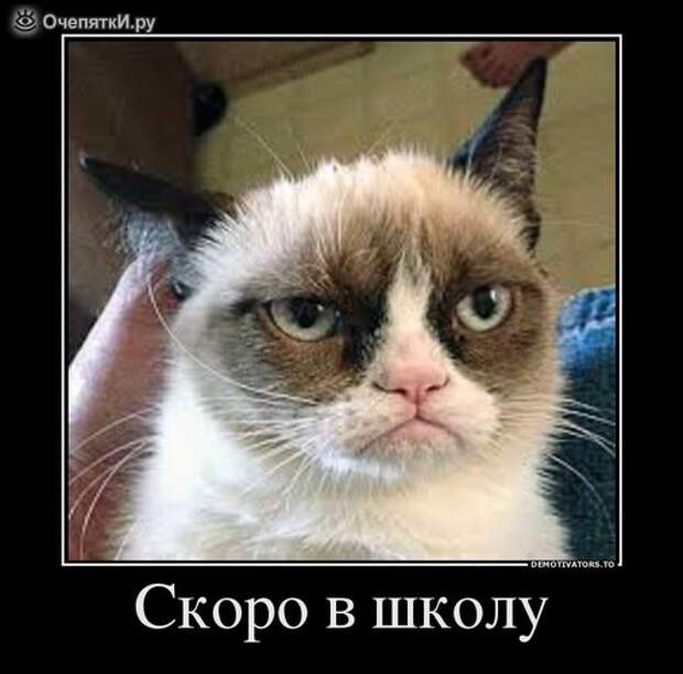 Весна неизбежна? 1