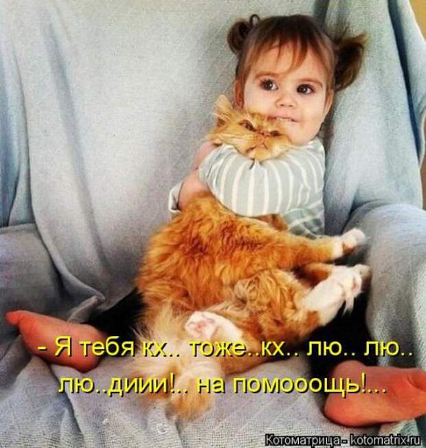 Котоматрицы(картинки с надписями)