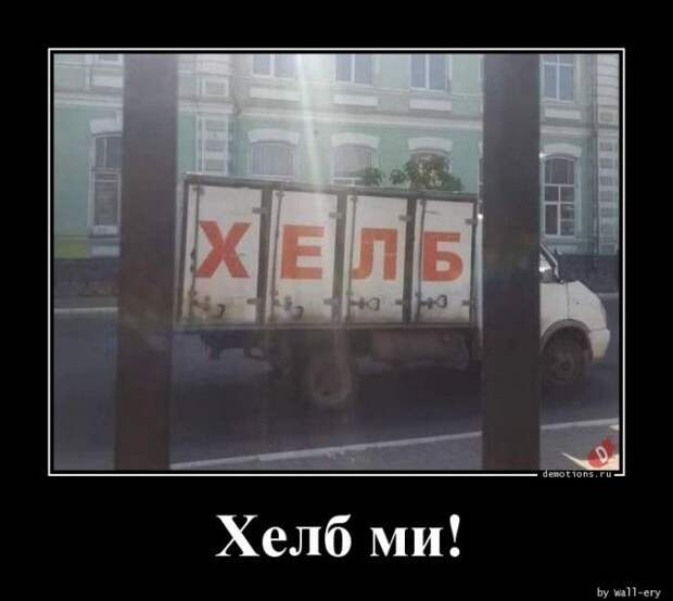 1587452373_demki-2.jpg