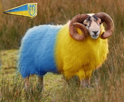 Украинское правительство последовательно оскотинивает собственных граждан Украинское правительство последовательно оскотинивает собственных граждан