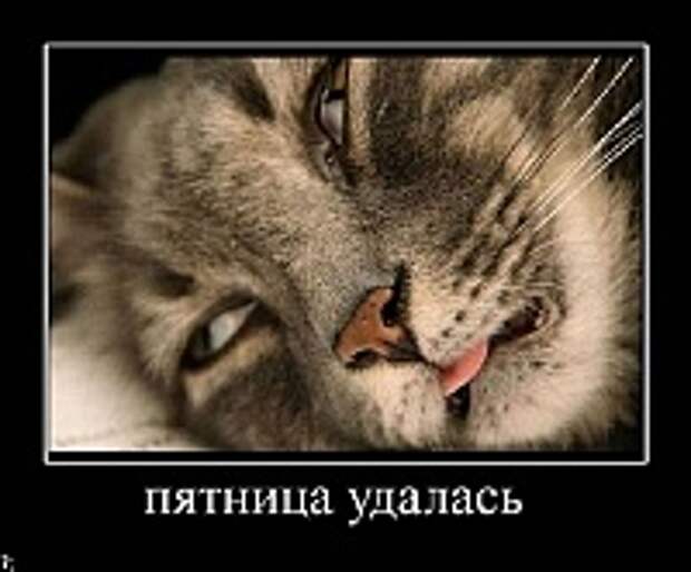 Демотиваторы фото 12