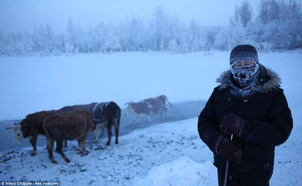 Село Оймякон - самое холодное место в мире Село Оймякон - самое холодное место в мире Оймякон, зима, село, фоторепортаж, холод, якутия