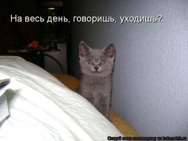 Мысли вслух :)