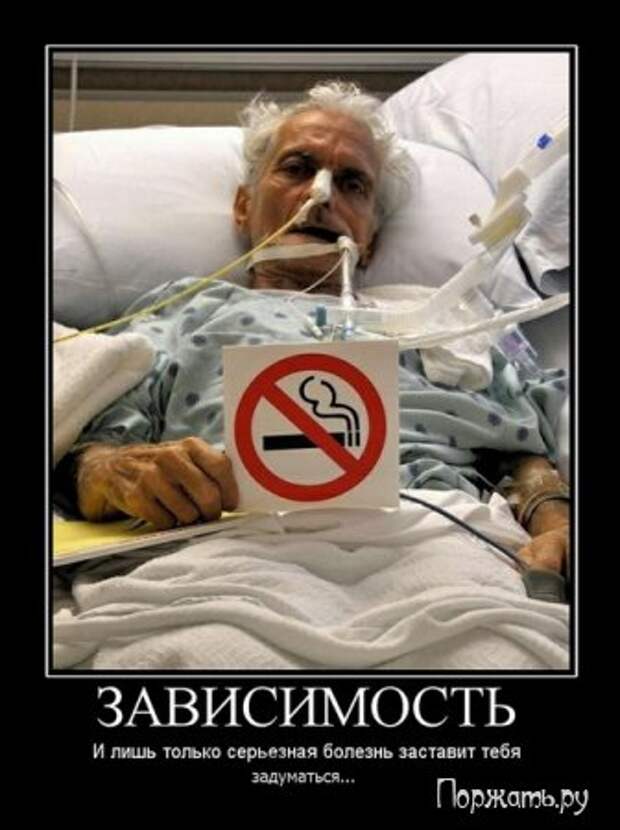 Демотиваторы прикольные и со смыслом, смешные и серьезные.