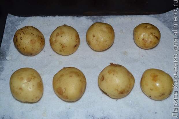 молодая картошка