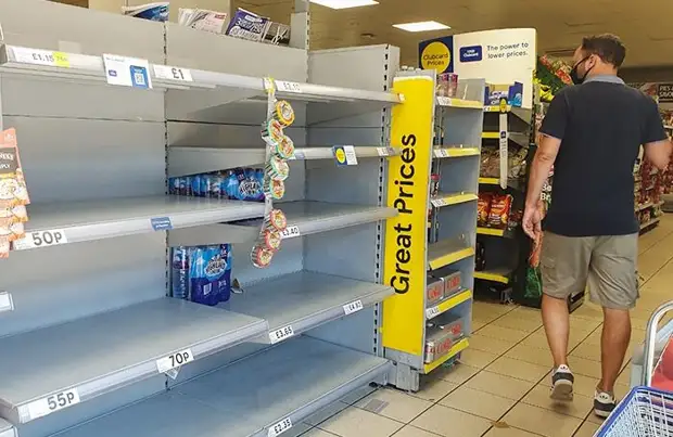 Кризис в отношениях России с Западом грозит миру дефицитом пищевых продуктов и металлов