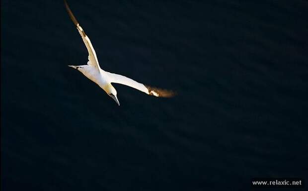 Craig_Easton_017